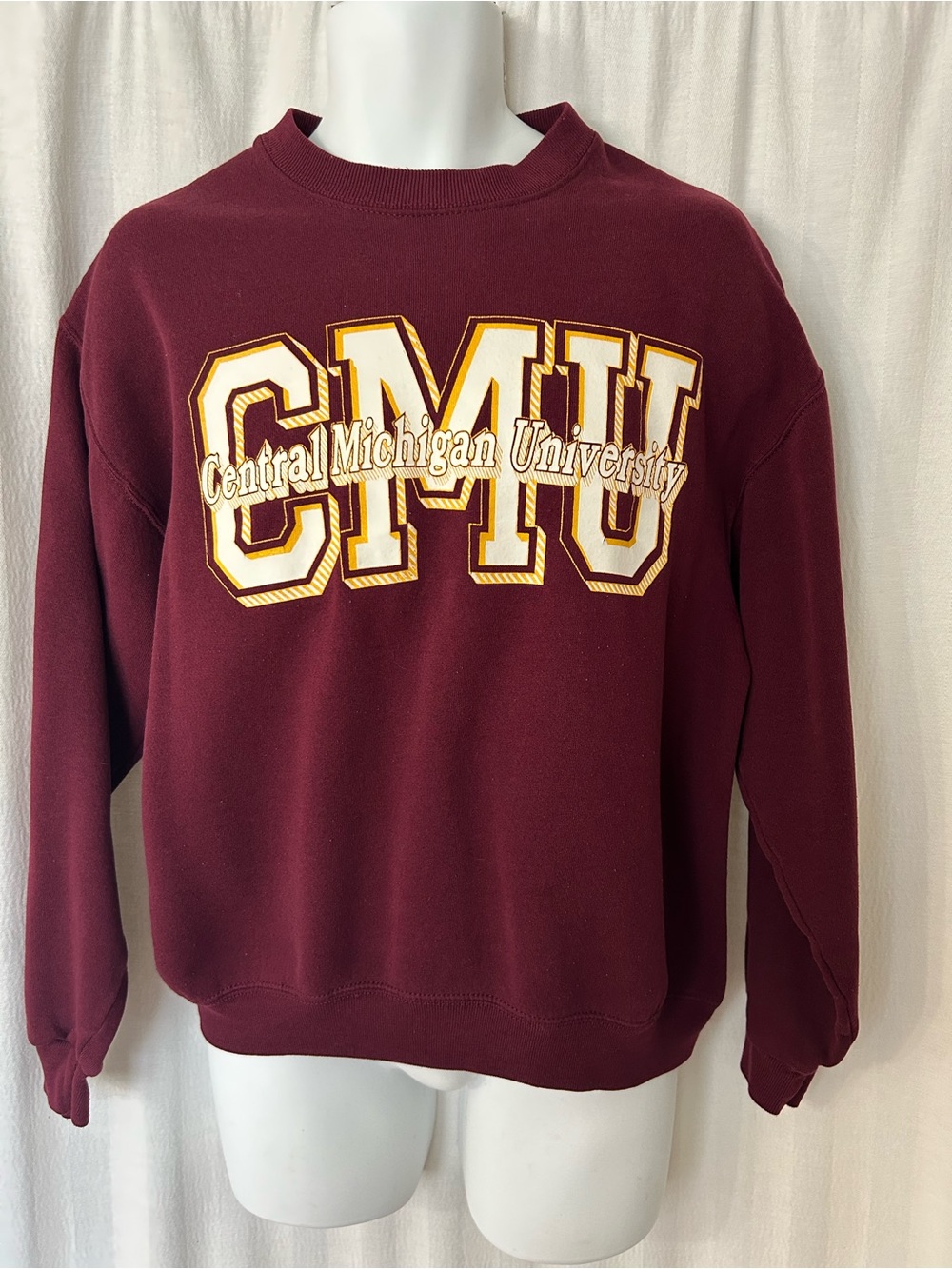 Sweatshirt: vintage central michigan university made in usa xl